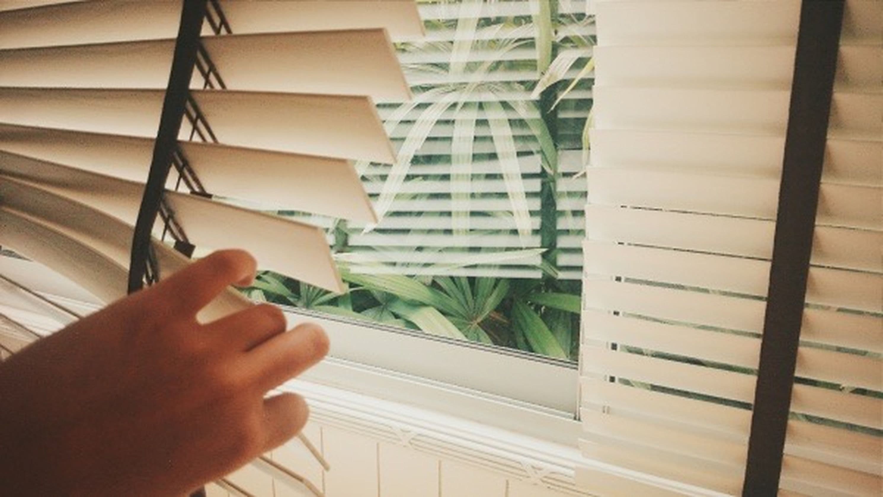 Shengli curtains and blinds work in Tema, Ghana