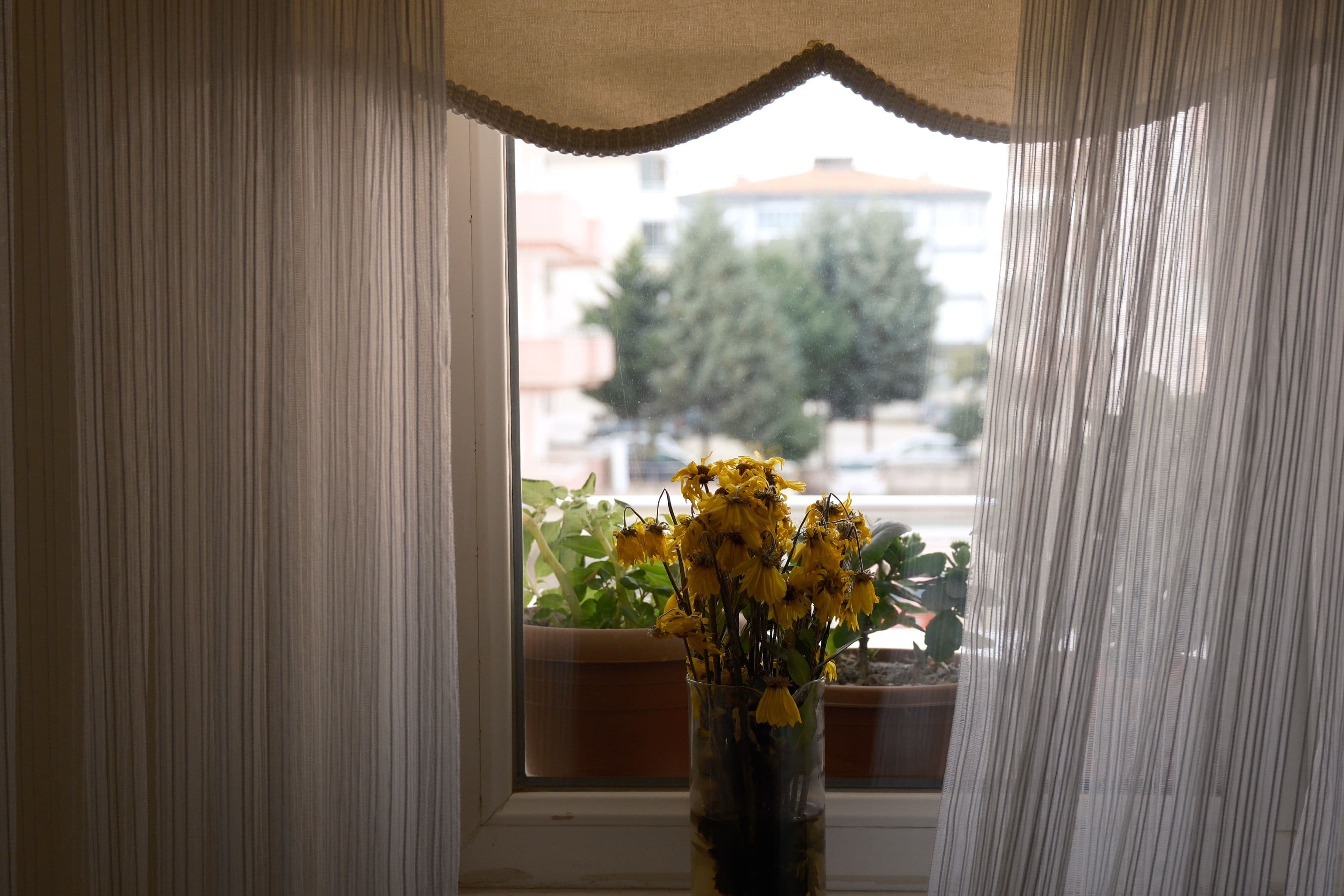 Shengli curtains and blinds work in Tema, Ghana
